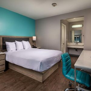 1 Queen Bed Mobility Accessible Room Non-Smoking